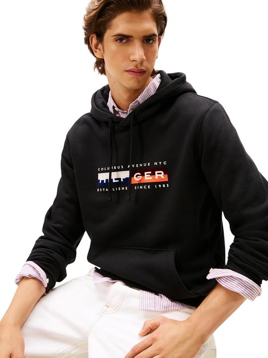 Produktbild Tommy Hilfiger Th Colour Block Graphic Hoodie (S)