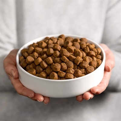Image du produit Smolke Hond Adult Graanvrij (Adulte, 1 pcs, 12150 g)