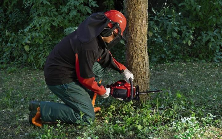 Image du produit Einhell Tronçonneuse à essence (Scie à chaîne à essence)