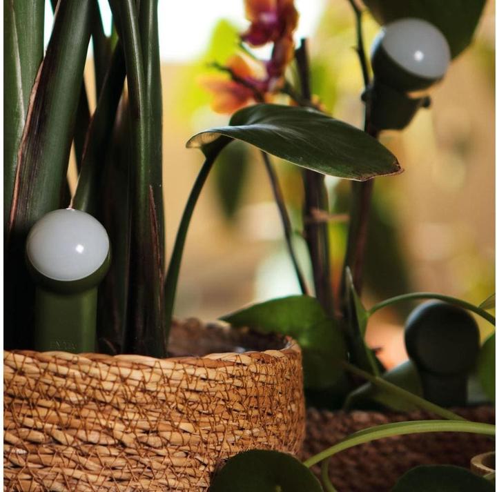 Image du produit FYTA Tropfer-Set Jungle (Kit d'irrigation goutte à goutte)