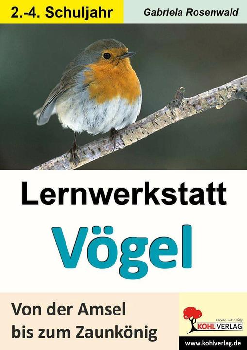 Produktbild Lernwerkstatt Vögel Von der Amsel bis zum Zaunkönig (Deutsch, Gabriela Rosenwald, 2011)
