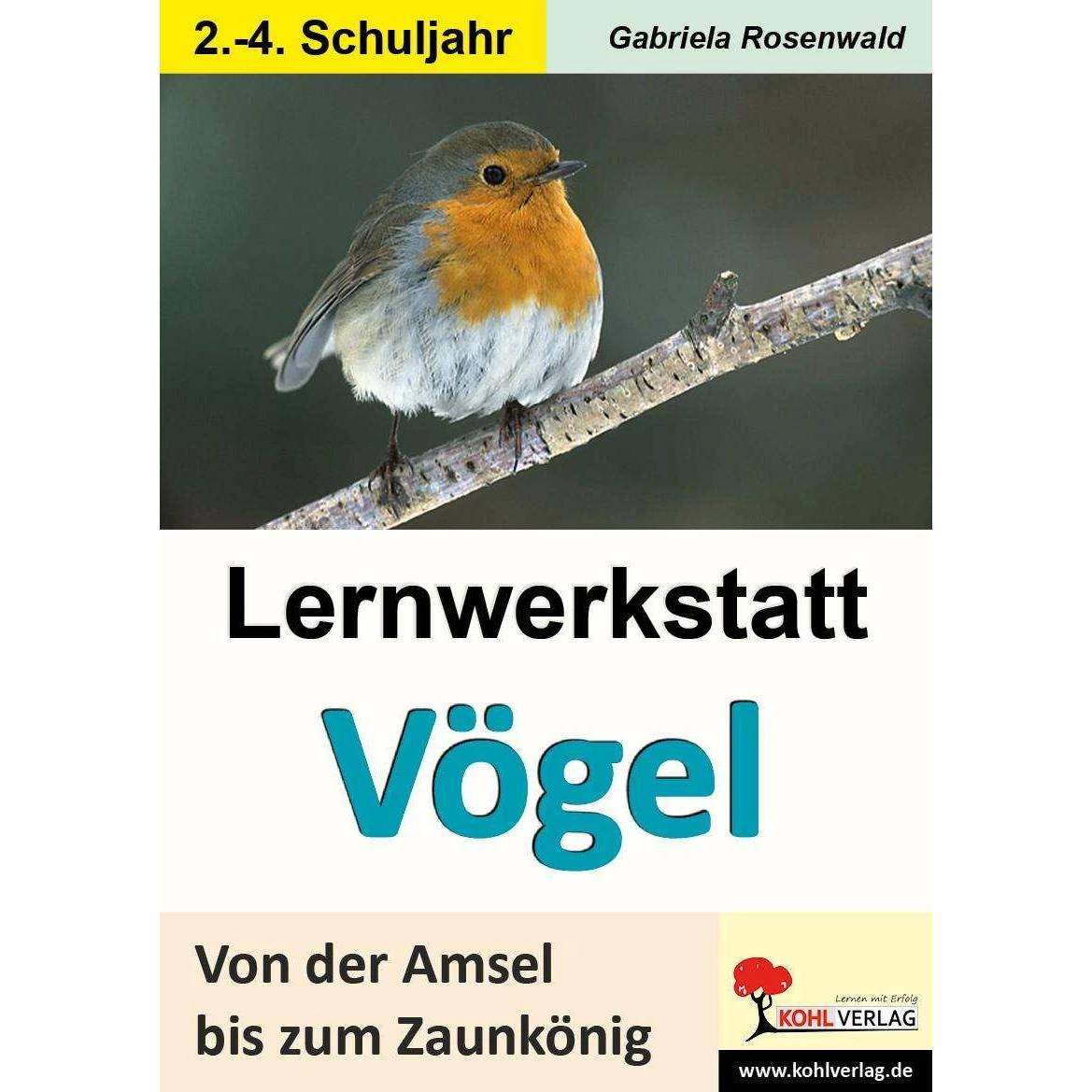 Lernwerkstatt Vögel Von der Amsel bis zum Zaunkönig, Schulbücher von Gabriela Rosenwald