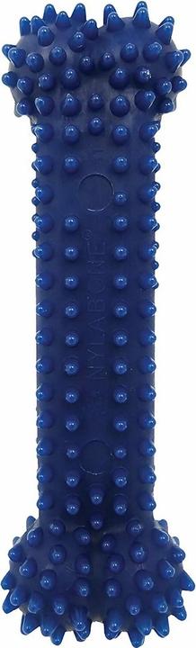 Immagine prodotto Nylabone Moderate Dental Chew - Chicken L (Gioco da masticare per cani)