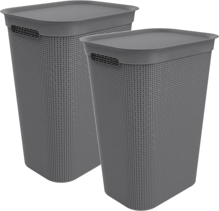 Immagine prodotto Rotho Brisen (50 l)