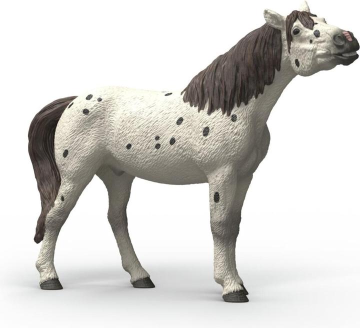 Produktbild Schleich Knabstrupper Wallach