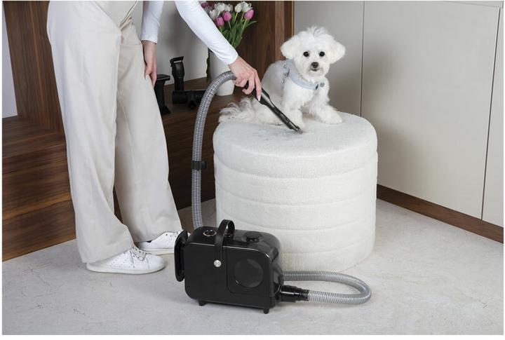 Actual product image BerlingerHaus Haus Staubsauger Pet Black Rose Collection