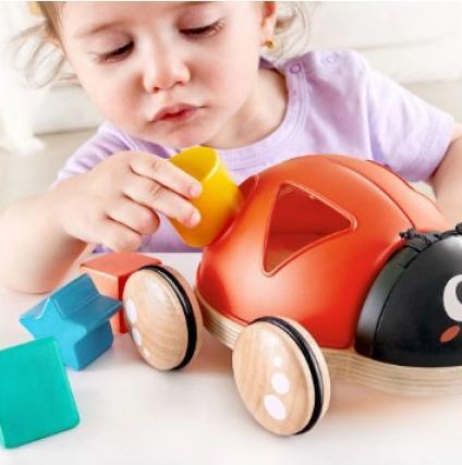 Actual product image Hape Shape sorter ladybug