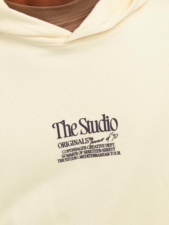 Actual product image Jack & Jones Jornoto Graphic Sweat Hood (S)