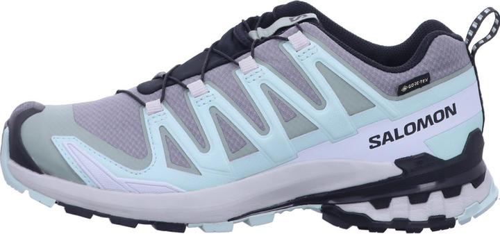 Actual product image Salomon XA PRO 3D V9 GTX W outdoor shoe (42.5)