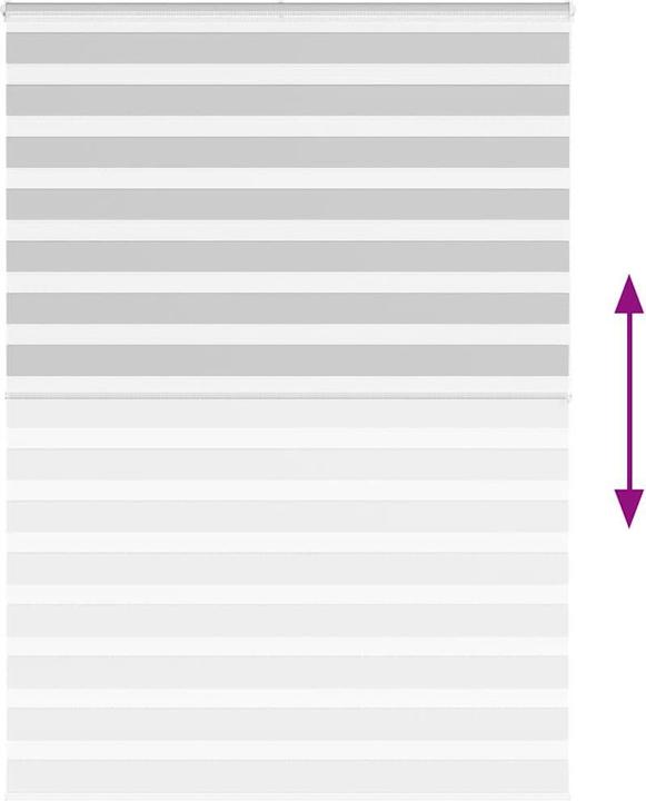 Produktbild vidaXL Zebra-Jalousie (160 x 200 cm)