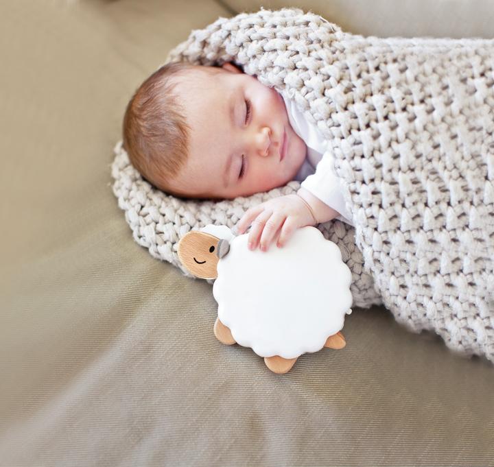 Immagine prodotto Hape Dormire pecora Suse (Francese, Italiano, Spagnolo, Tedesco, Portoghese, Inglese, Olandese)