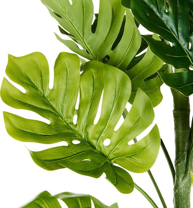 Immagine prodotto Beliani Monstera Plant (221 cm)