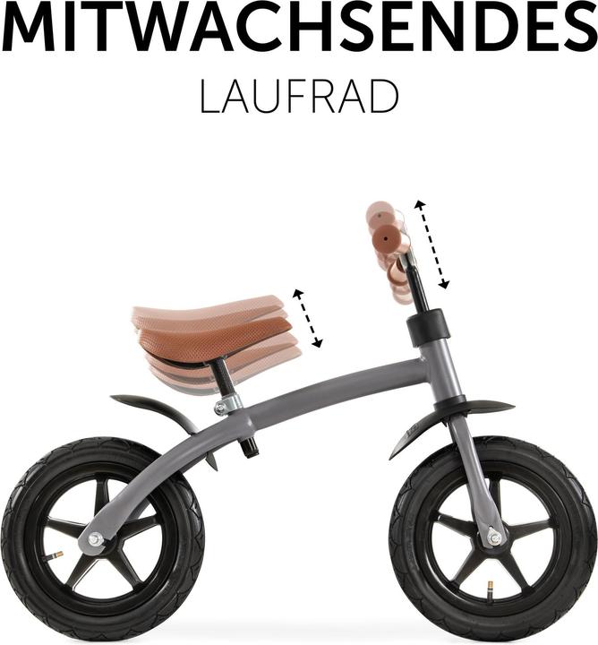Produktbild Hauck E Z Rider 12 Matt Grey (12")