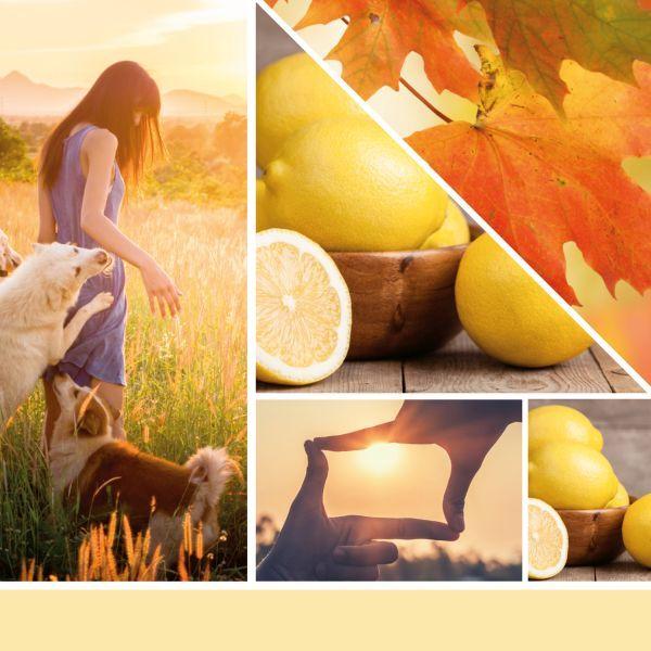 Image du produit Yankee Candle Autumn Sunset (411 g)