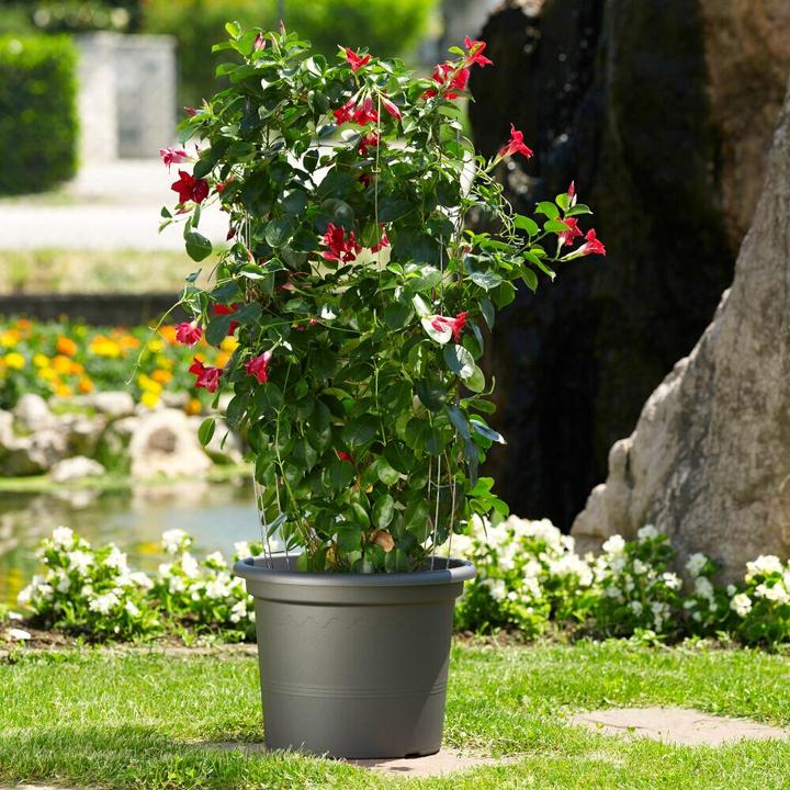 Actual product image Euro3plast Geo (20 x 150 cm)