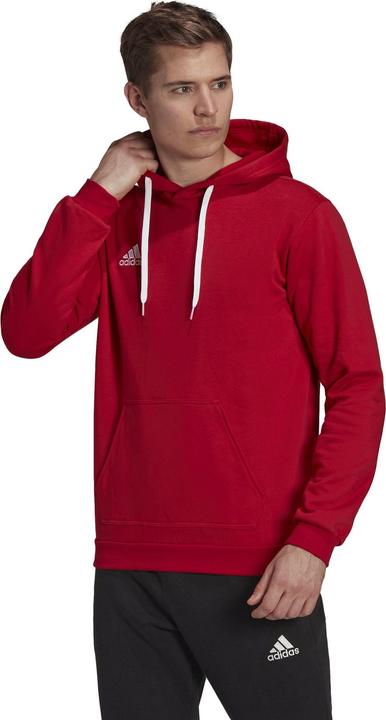 Actual product image adidas Entrada 22 hoodie men (XS)