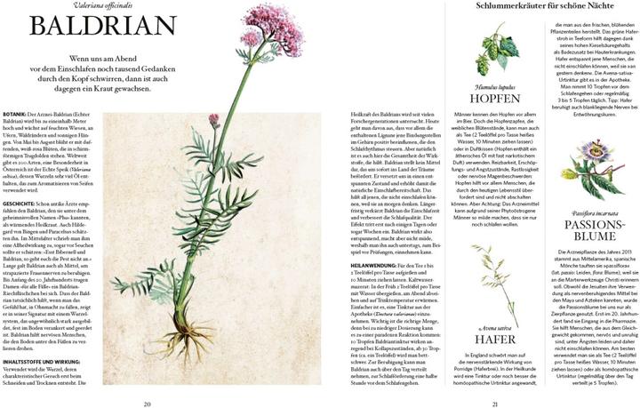 Produktbild Die Natur-Apotheke (Deutsch, Miriam Wiegele, 2018)