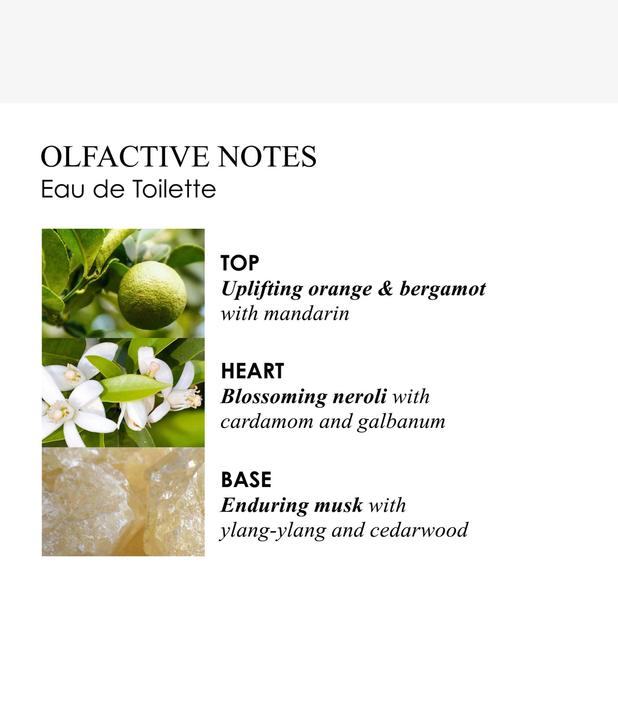 Actual product image Molton Brown Orange & Bergamot Perfumed Soap (Hard soap, 150 ml)