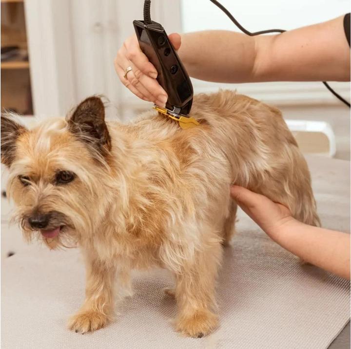 Produktbild Wahl Multi-Cut Animal Clipper, Produkttyp: Schermaschine (Hund)