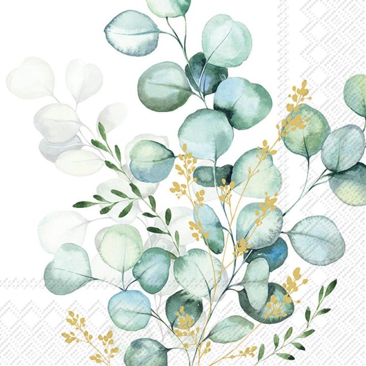 Image du produit IHR Eucalyptus (20 x, 33 x 33 cm)