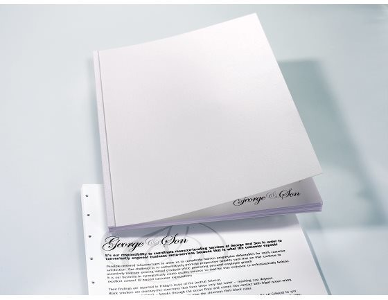 Actual product image GBC Regency cover material