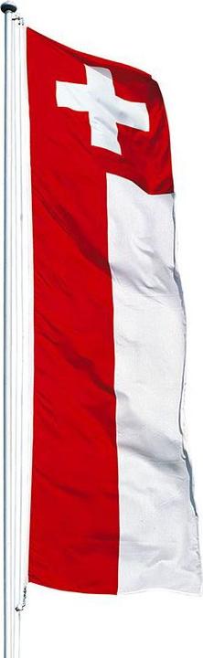 SV Pirna-Süd Wimpel/Pennant/Fanion SV Pirna-Süd Wimpel/Pennant/Fanion