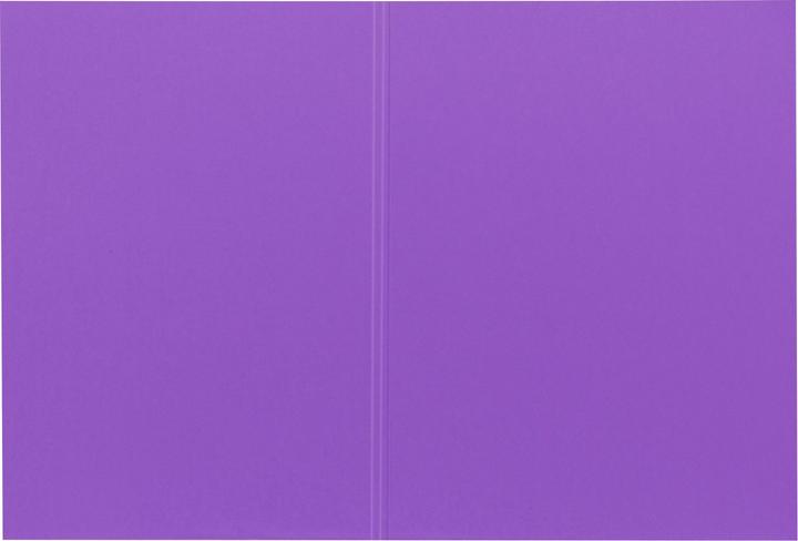 Produktbild Biella Vertikalmappe Recycolor 0253427.41 32x23,3/24,3cm, lila 100 St. (A4, 100x)