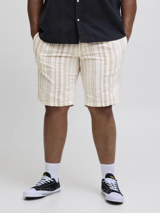 Produktbild Jack & Jones Plus Size Relaxed Fit Relaxed Fit Shorts Relaxed Fit Shorts (48)