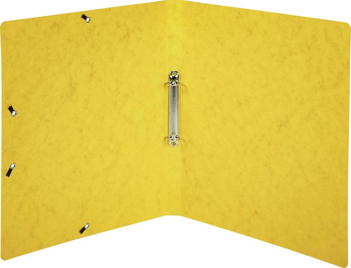 Immagine prodotto Exacompta Raccoglitori ad anelli (A4, 36x)