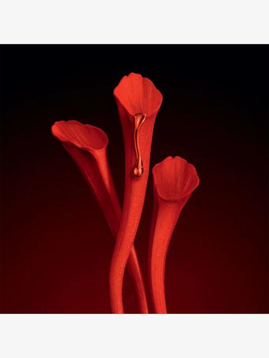 Actual product image Yves Saint Laurent Or Rouge - Serum Refill (30 ml)