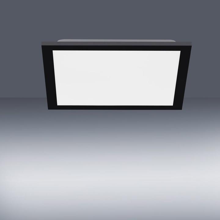 Produktbild Paul Neuhaus Flat (2000 lm)