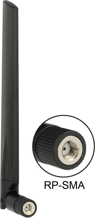 Delock Antenne WLAN (WiFi)