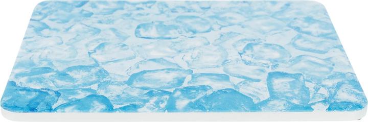 Trixie Cooling plate for hamster, 20 x 15 cm