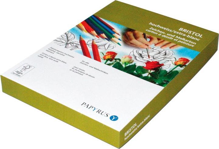 Actual product image Papyrus Bristol (180 g/m², 250 x, A4)