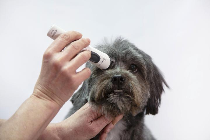 Image du produit Aesculap Tondeuse pour animaux (Chien)