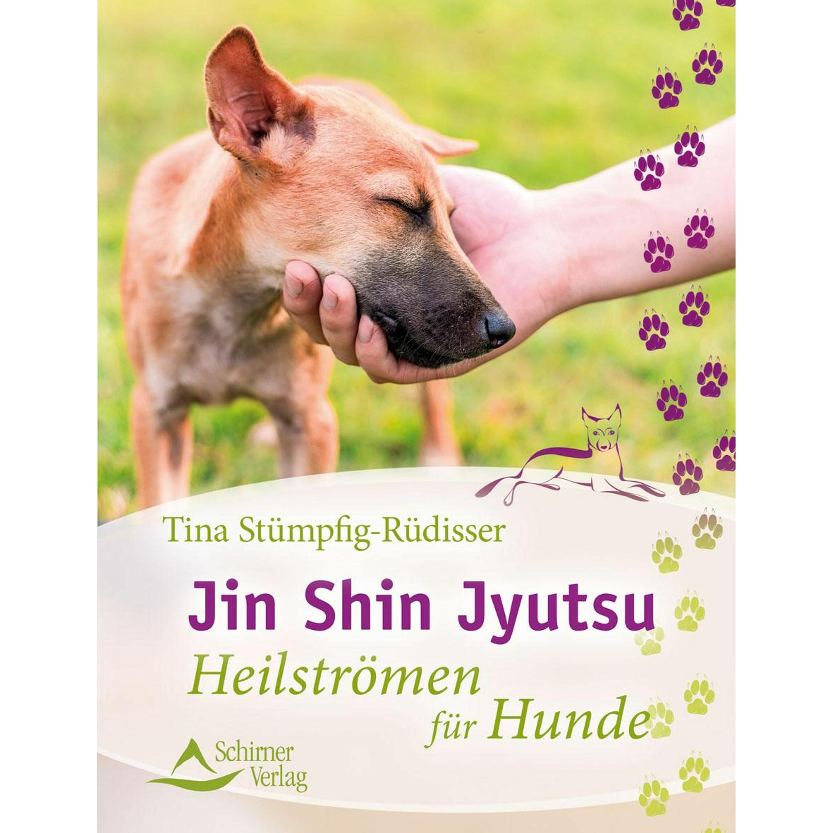 Jin Shin Jyutsu, Ratgeber von Tina Stümpfig-Rüdisser