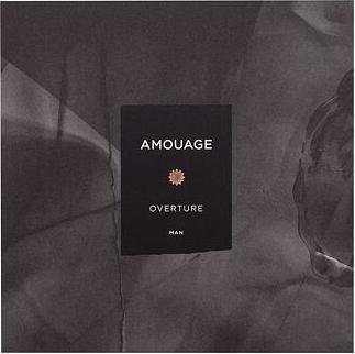Immagine prodotto Amouage Overture (Eau de parfum, 100 ml)