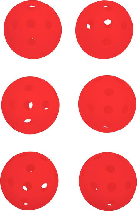 Actual product image Pure Pickleball set of 6