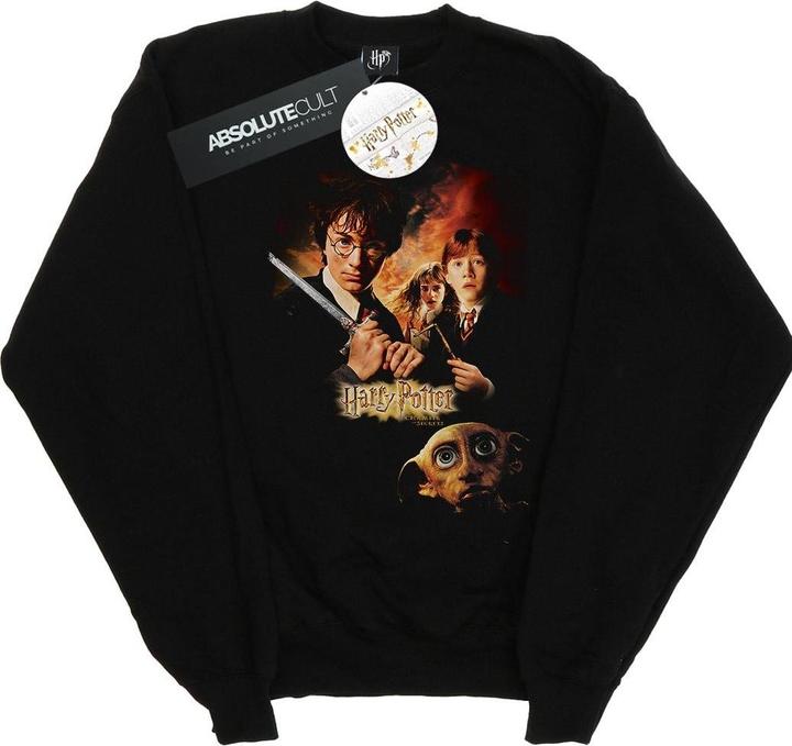 Chamber Of Secrets Poster Sweatshirt (5XL)