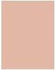 Actual product image Erborian CC Creme Clair (Clair)