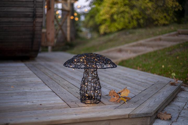 Produktbild Star Trading Outdoor Decoration Otto (IP44)