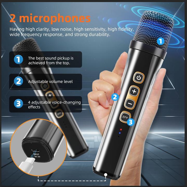 Actual product image Liluosuo Karaoke-Maschine (2x 20 W)