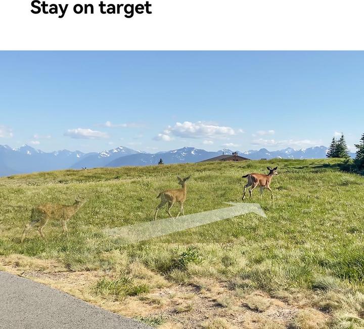 Actual product image Imou Cell PT 4G Kit 3MP Batteriebetriebene IP Kamera mit Solarpanel und SIM (2304 x 1296 Pixels)