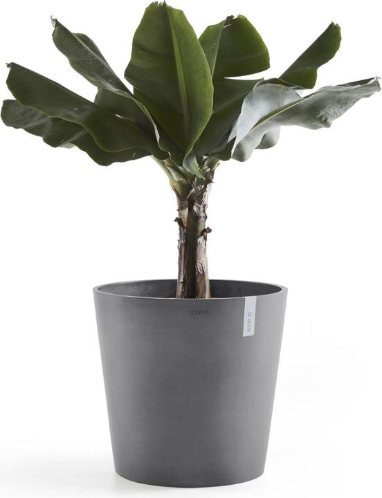 Produktbild Ecopots Amsterdam + Wasserbehälter (50 cm)