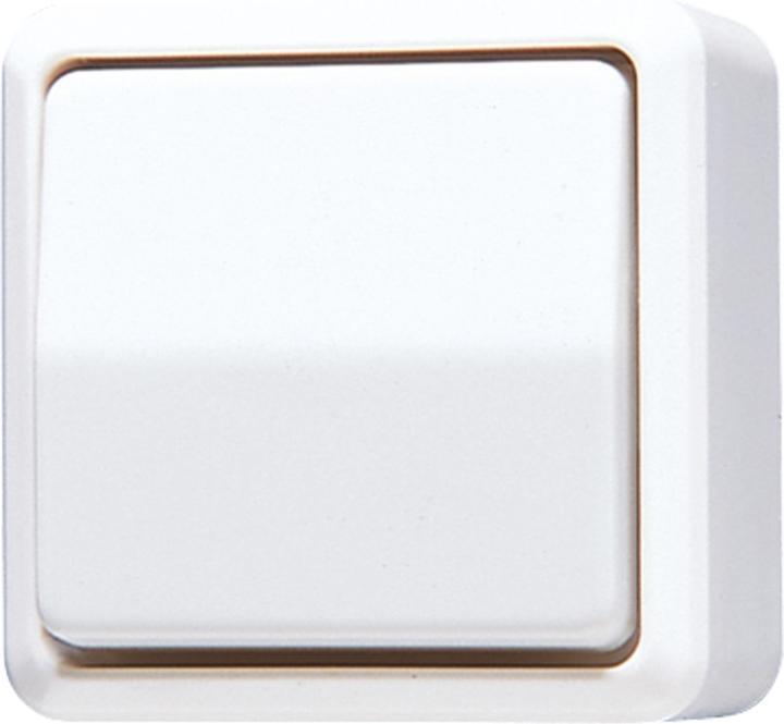 Alpine White