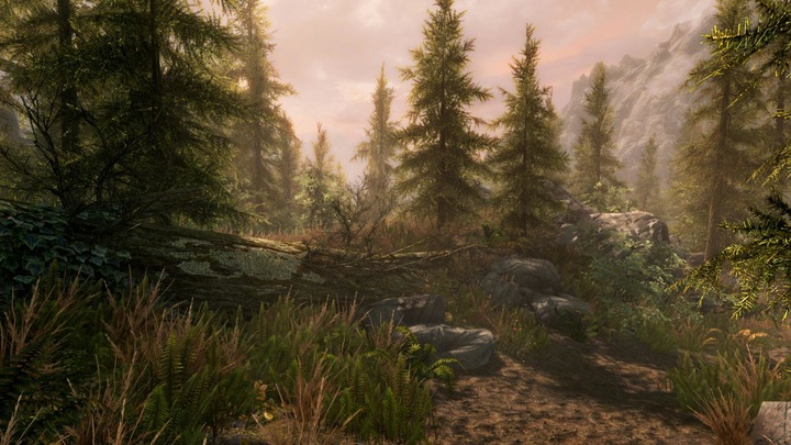 Image du produit Bethesda The Elder Scrolls V : Skyrim (Xbox One S)
