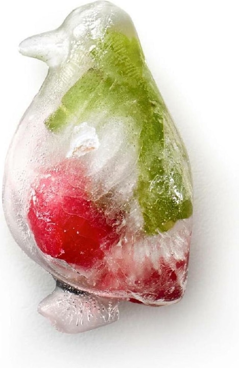 Actual product image Lékué Ice Cubes