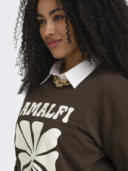 Image du produit Only CARESMARA Sweatshirt Sweatshirt (M)