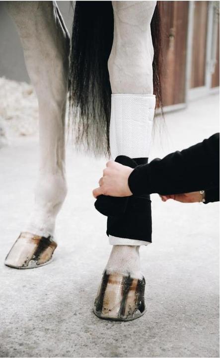 Produktbild Kentucky Horsewear Bandagenunterlagen Arbeit Absorb 4er-Set