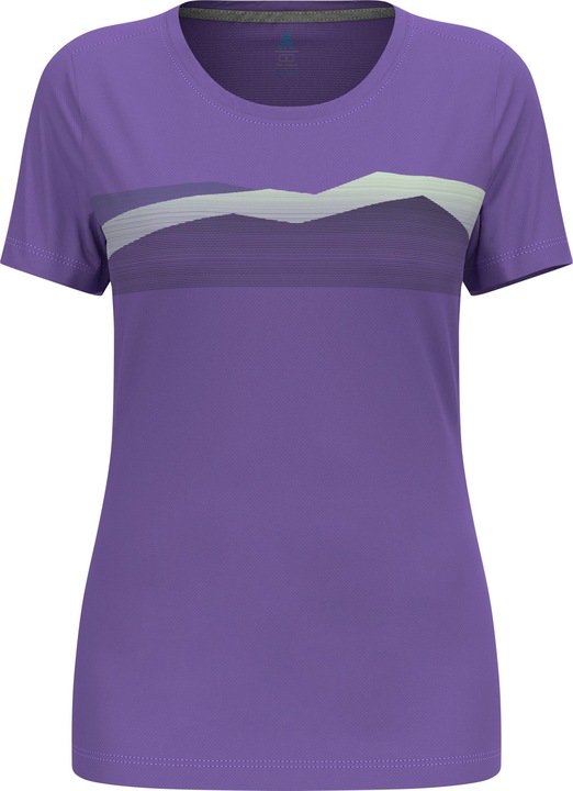 Image du produit Odlo F-Dry Ridgeline (XS)